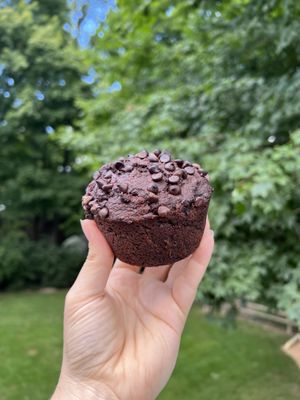 Chocolate zucchini muffin  at Ordinarie Fare in Dayton