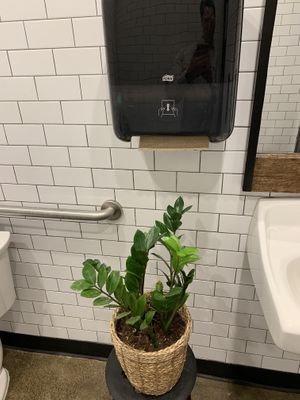 They have a plant to catch the extra water from your hands. Pretty neat !  at Greenhouse Canteen + Bar in Columbus