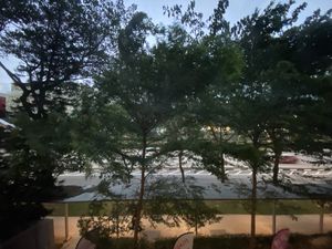 Window view at Leaf Corner 慈素 - Tai Seng in Central Singapore