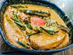 Curry fish rice, generous portion, very flavourful, recommended at Leaf Corner 慈素 - Tai Seng in Central Singapore