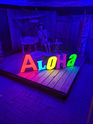 cute atmoshpere at The Honu in Dunedin