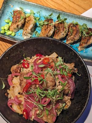 Ginger scallion noodles and Gyoza tofu at Swanky Monkey Garden in Zagreb