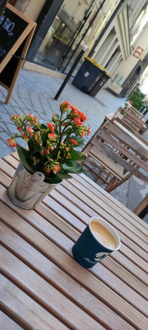 Coffee place at Eve, la sandwicherie végétale in Paris