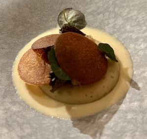   at The Lemon Tree in Deventer