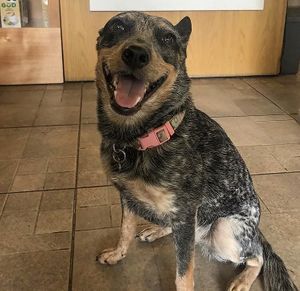   at Siempre Viva in Mexico City