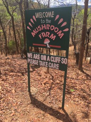 Entrance at The Mushroom Farm in Livingstonia