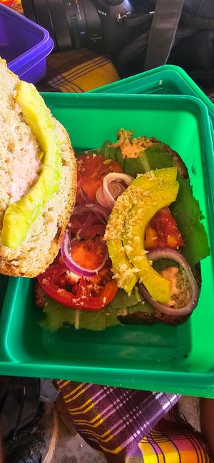 Sandwich package for waterfall hike at The Mushroom Farm in Livingstonia