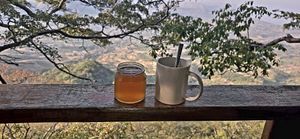 2 important drinks: kombucha and coffee at The Mushroom Farm in Livingstonia