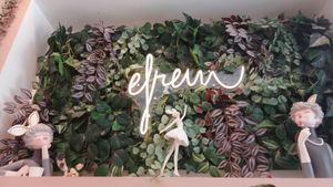 at efrem in Turin