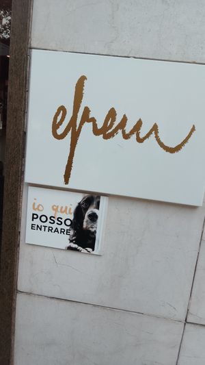  at efrem in Turin