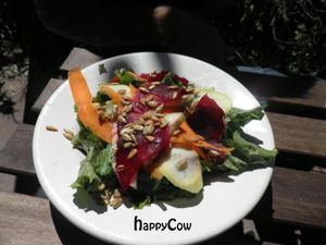  at Snapdragon in Vashon Island