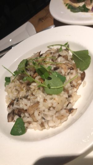 Vegan risotto   at Prati Italia in Jacksonville