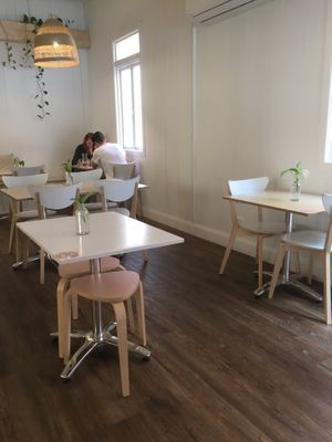 View from my seat  at Plant Vibes Cafe in Bowen Hills