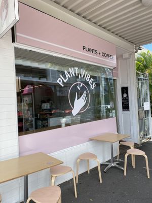 How cute is this place  at Plant Vibes Cafe in Bowen Hills