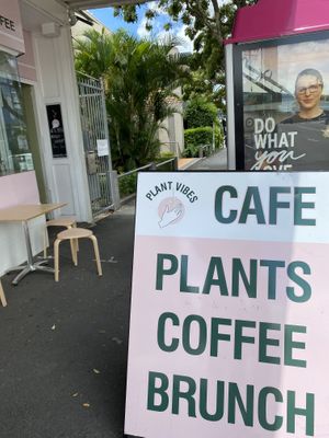Plant Vibes at Plant Vibes Cafe in Bowen Hills