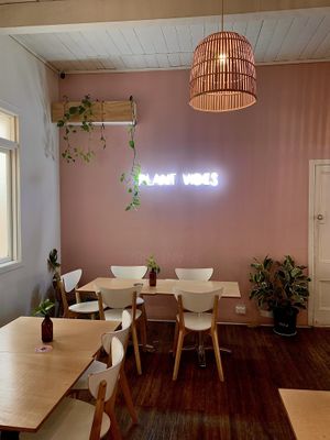   at Plant Vibes Cafe in Bowen Hills