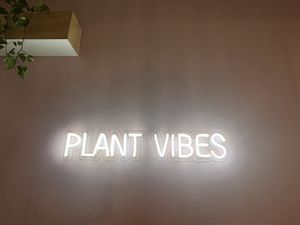   at Plant Vibes Cafe in Bowen Hills