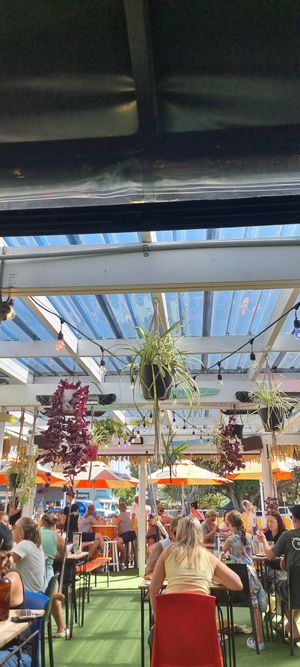  at George's Beach Club in Raglan