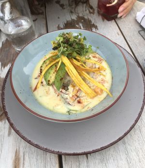 Ceviche at SER Restaurante in Nosara