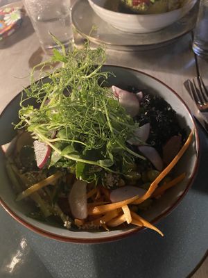 Poke bowl. Delicious  at SER Restaurante in Nosara