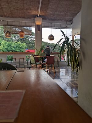 Vibe at SER Restaurante in Nosara
