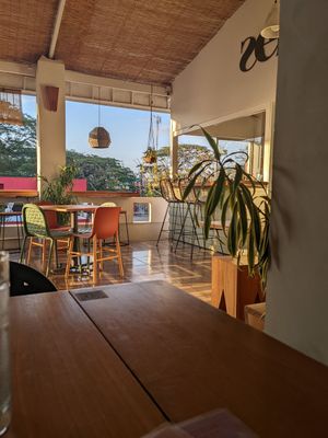 Vibin' at SER Restaurante in Nosara