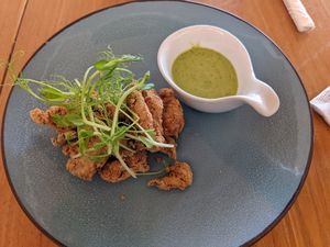 Fried mushroom appetizer special at SER Restaurante in Nosara