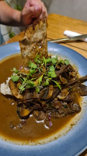 Mushroom Strogonoff (very tasty but a bit expensive) at SER Restaurante in Nosara