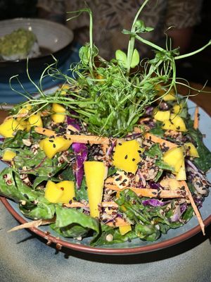  at SER Restaurante in Nosara