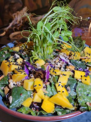 Ensalada Thai at SER Restaurante in Nosara