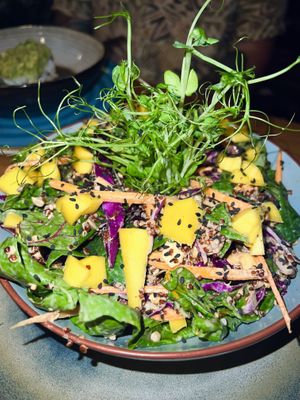 Thai salad  at SER Restaurante in Nosara