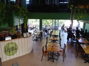 Green Sprouts Vegetarian at Green Sprouts Vegetarian in Neutral Bay