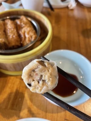 Siew Mai 10/10  at Green Sprouts Vegetarian in Neutral Bay