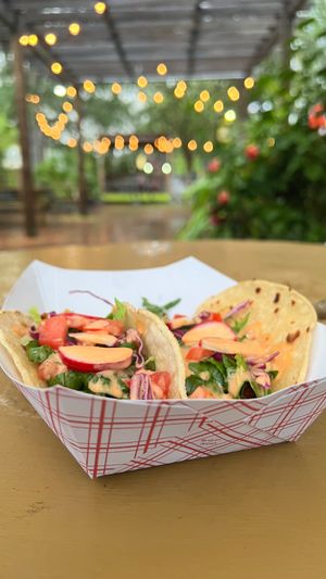  at Muñecas Downtown Taco Garden in Gainesville