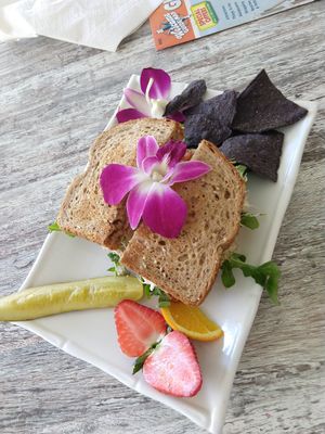 Un-tuna sandwich at The Sanibel Sprout in Sanibel