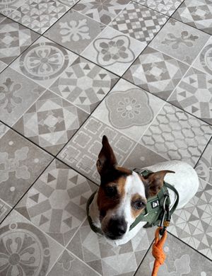   at Home on Lindley in Huddersfield