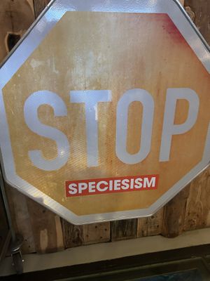   at Speicher in Tubingen