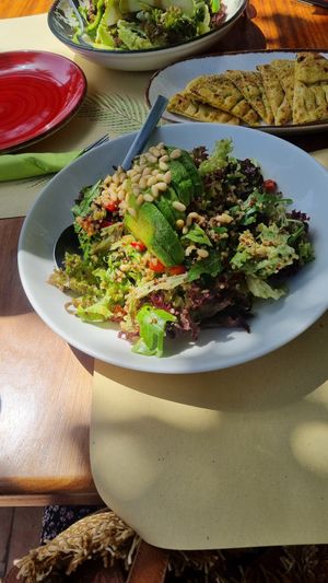  at Pelican Kipos in Santorini