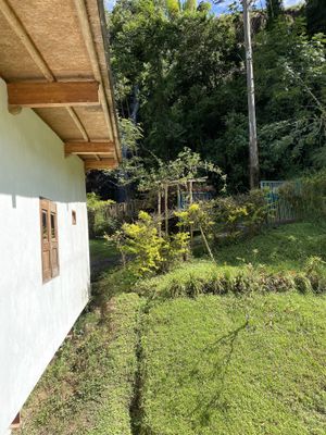 Desde mi habitación  at Charco Corazon in Jardin