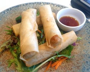 Vegan spring rolls at Oishii on Wheels in Bendigo