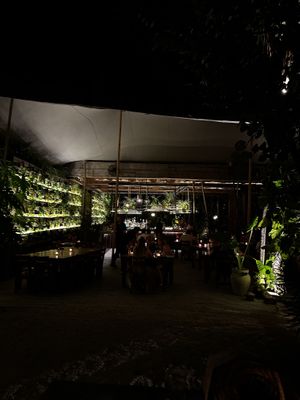   at NÜ Restaurant in Tulum