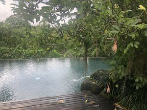 Infinity pool at The Farm at San Benito in Lipa City