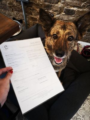 Mmmm at Dandie Dog Cafe in North West London