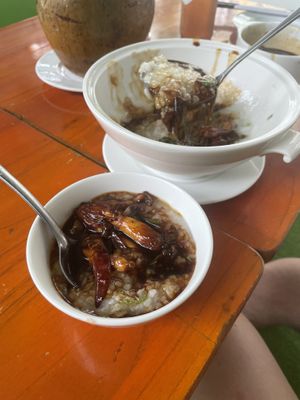 Singapore porridge with oyster mushrooms   at Goodlife - temporarily closed in Vung Tau