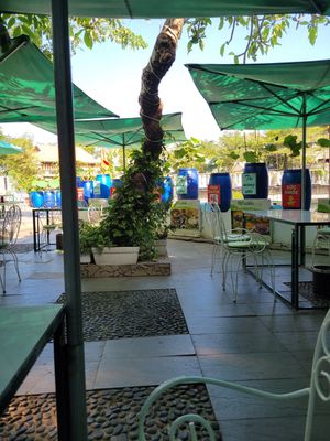 #Veganuary at Goodlife - temporarily closed in Vung Tau