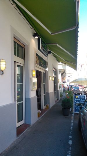 Bengal from the sidewalk at Bengal in Freiburg