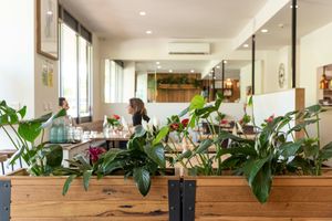 Plant filled environment at The Glen Melbourne in Elsternwick