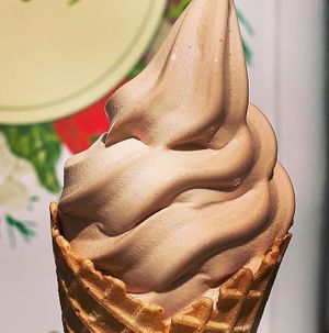 Vegan Chocolate Ice Cream! at Earth's Harvest - Food Truck in Springfield