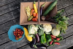 Home produce at Under The Lime Tree in Angouleme