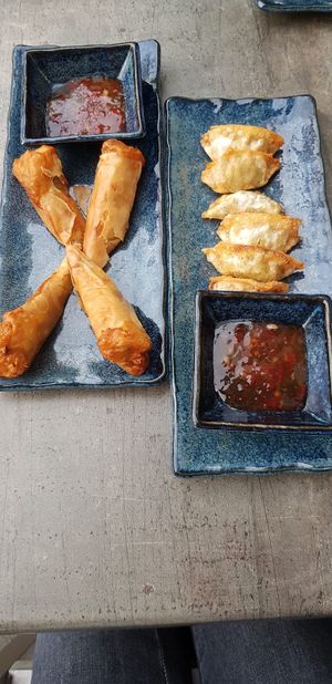 crispy spring rolls and gyoza at Happy Kitchen in Baden Baden